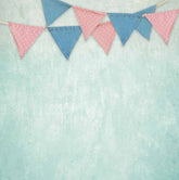 Printed Old Master Medium Aquamarine Color Wall With Party Flag Photography Backdrop Shopbackdrop